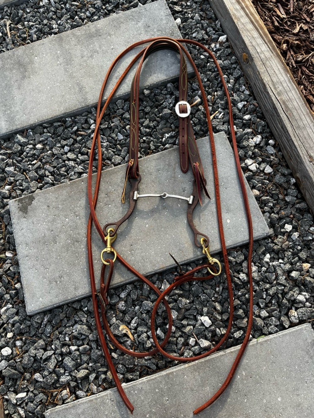 Bridle set up